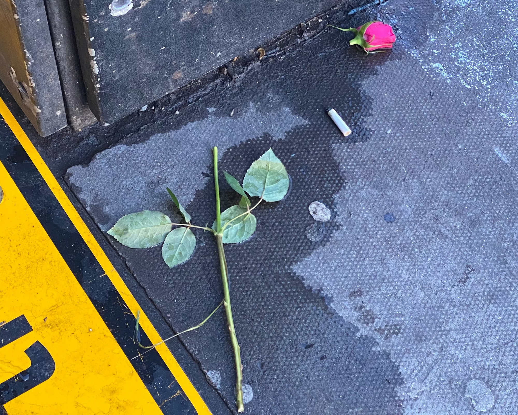 Step 2: Cord Cutting